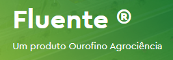 Fluente - 0